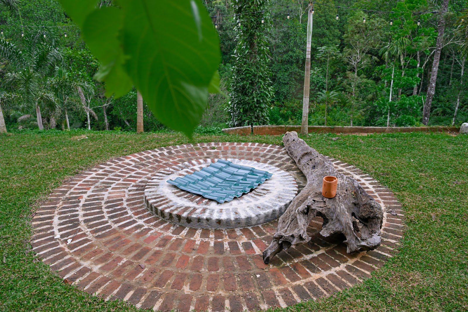 The fire pit on the lawn at The Nook